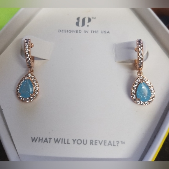 Aquamarine Crystal and Rose Gold Earrings - Picture 3 of 4